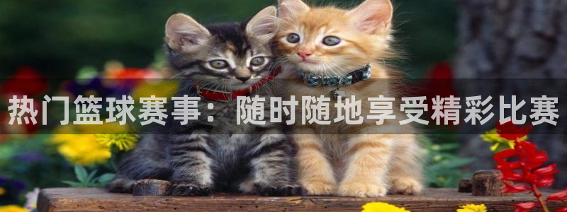 好博体育平台怎么样啊